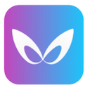 Feiying Digital Human logo